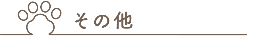 その他